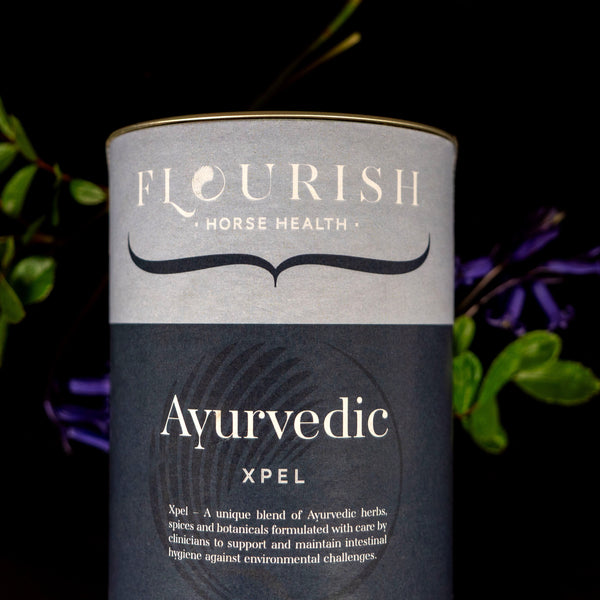 Ayurvedic ~ Xpel