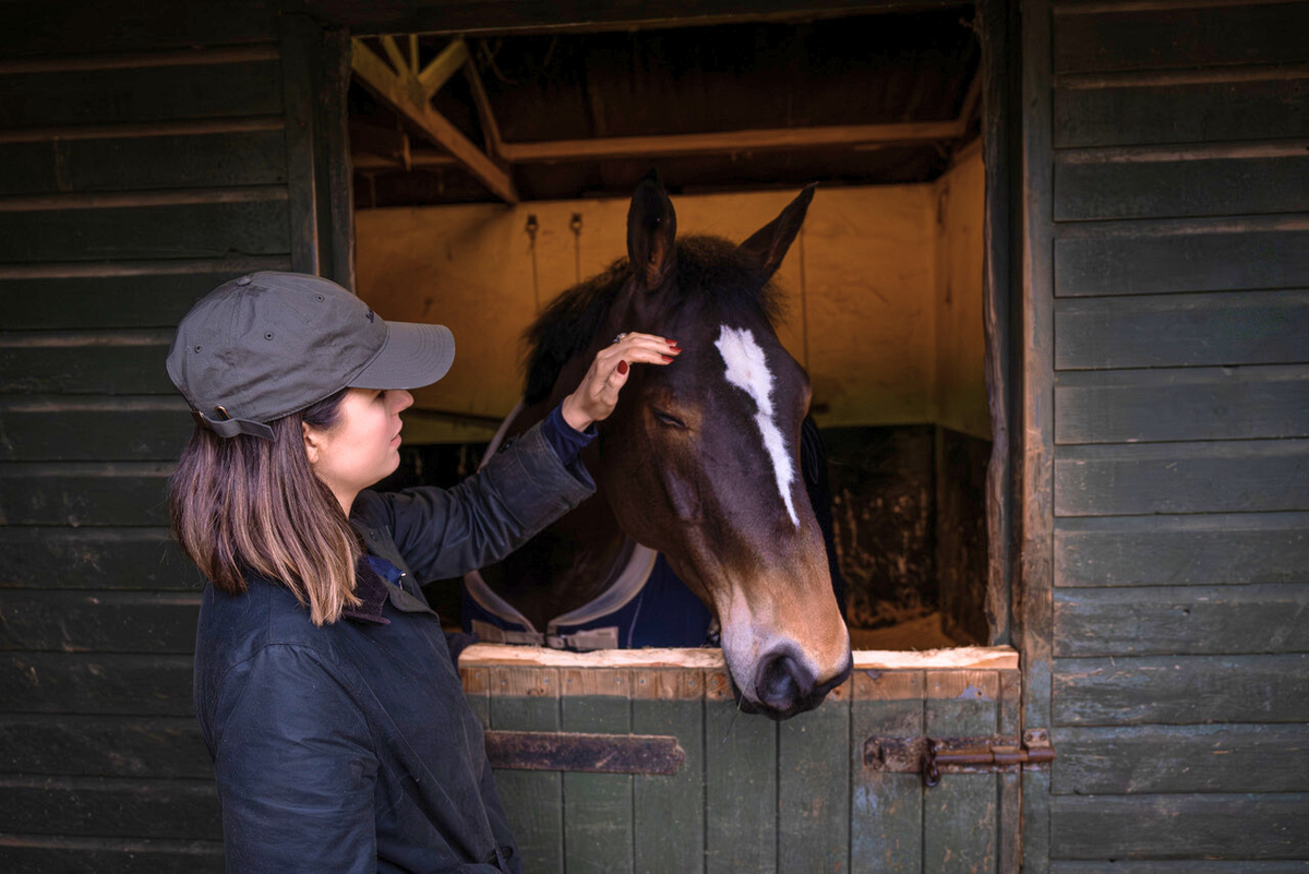 For Equine Professionals