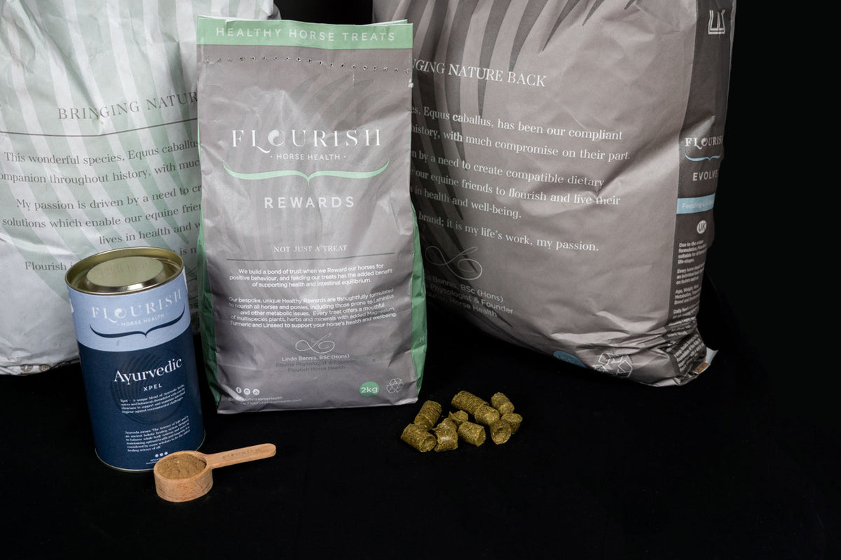 Flourish Ambassadors